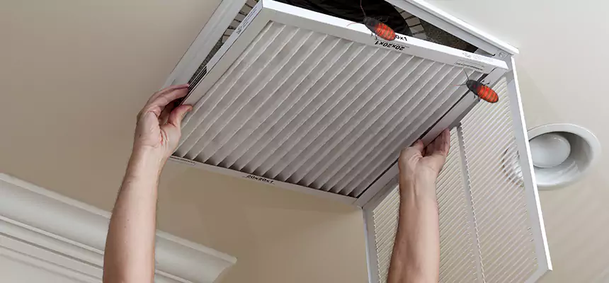 Preventive Cockroach-Proofing for Ducts in Neenah