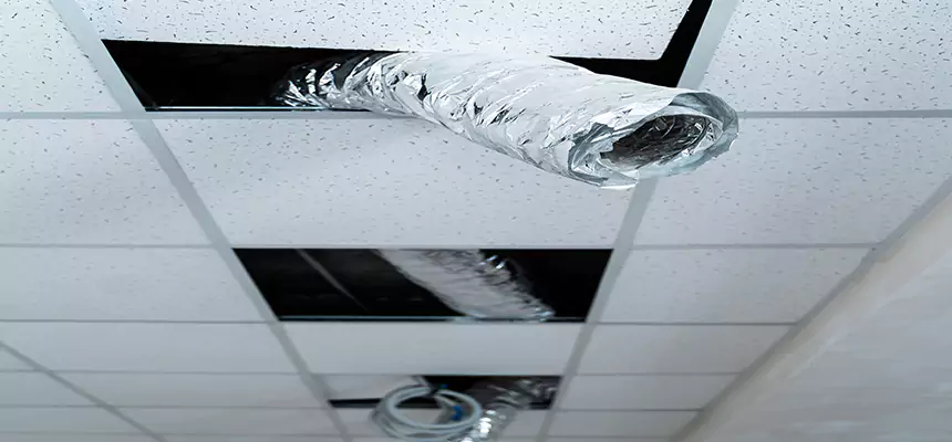 Our Air Duct Pet Hair Removal Services in Neenah, WI