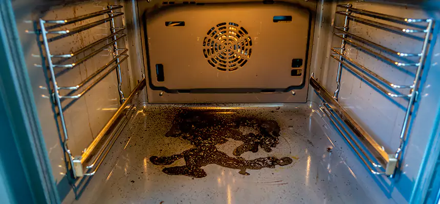 Our Dryer Vent Mold Cleaning Services in Neenah, WI