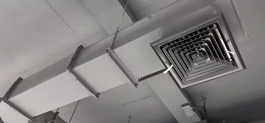 Our Pest Removal From Ducts Services in Neenah, WI