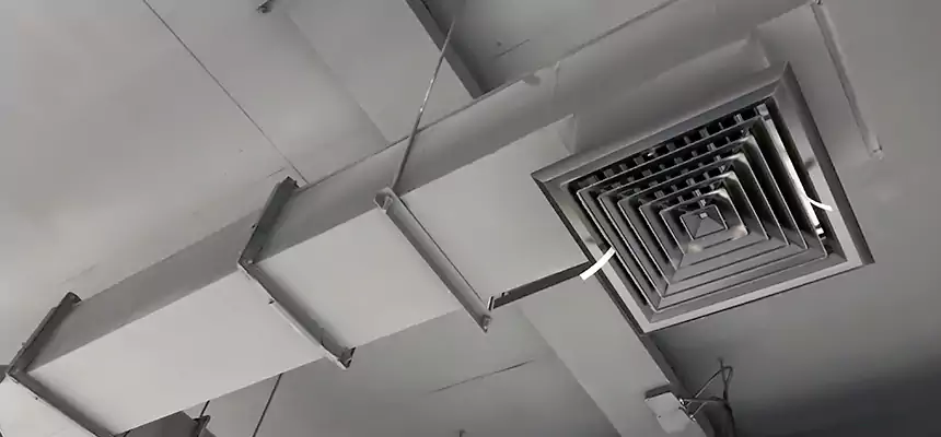 Our Rodent Droppings In Vents Services in Neenah, WI