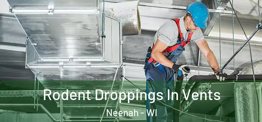  Rodent Droppings In Vents Neenah - WI