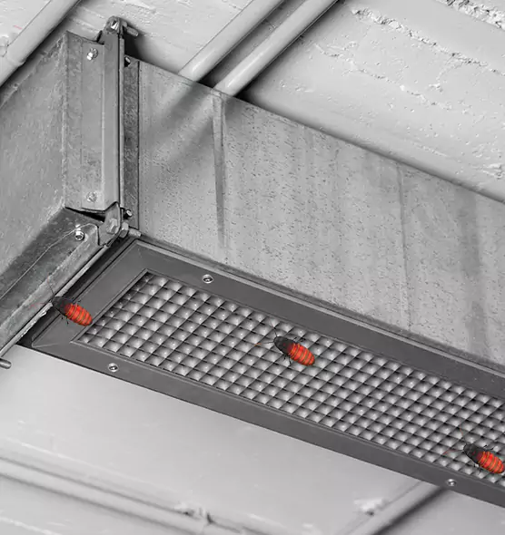 About Air Duct Cockroach Removal in Neenah, WI