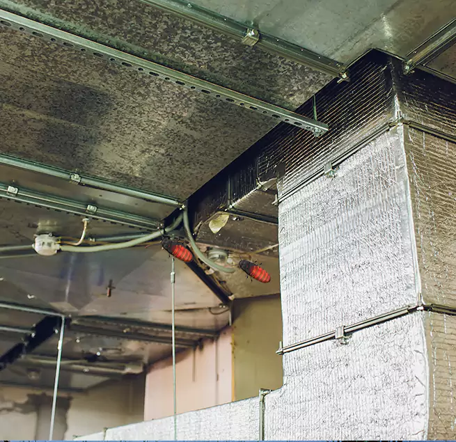 Why Homeowners & Businesses Trust Us in Neenah, WI?