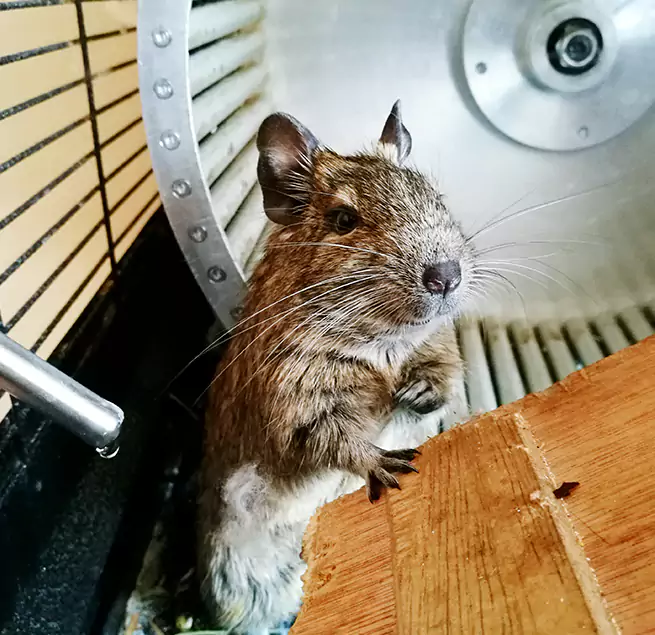 Why Homeowners & Businesses Trust Us Neenah, WI?