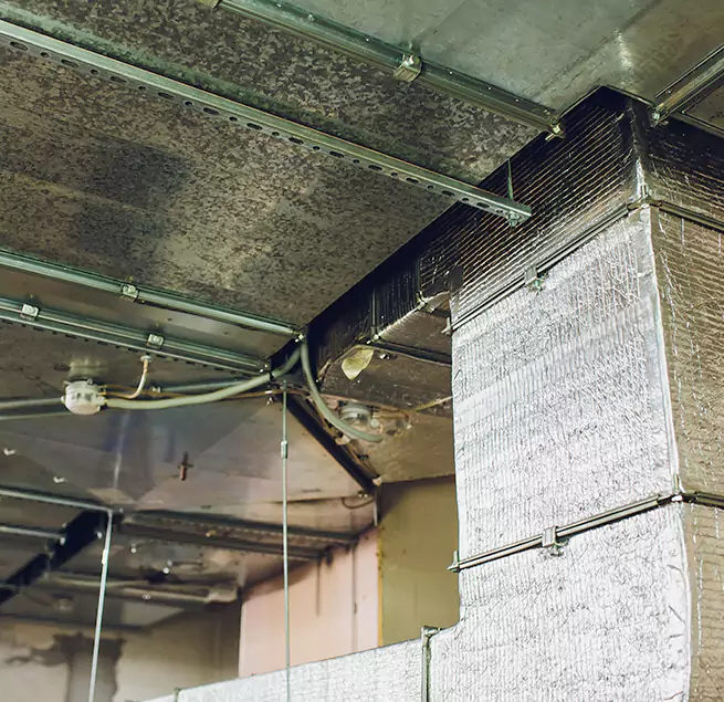 Why Homeowners & Businesses Trust Us in Neenah, WI?